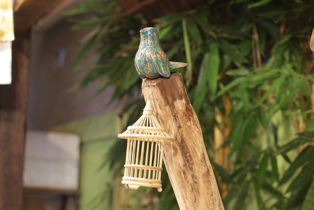 אובוד Green Bird Villa - Chse Certified מראה חיצוני תמונה